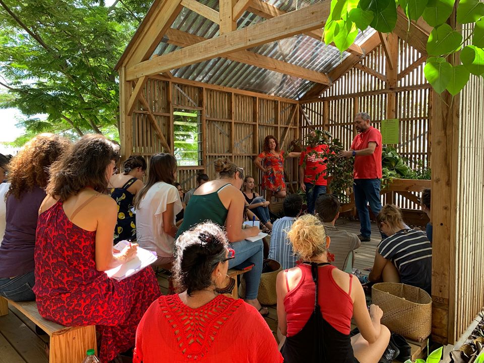 Atelier : les plantes médicinales et leurs vertus au jardin nurserie