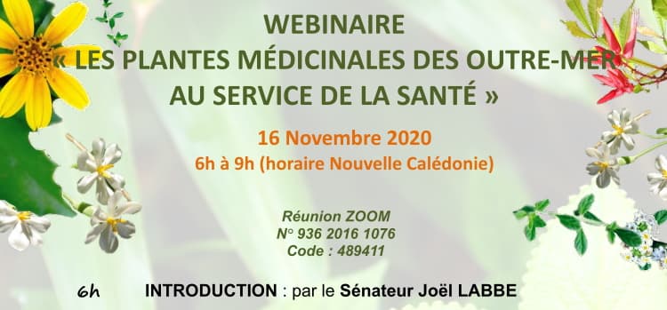 Webinaire : les Plantes Médicinales des Outre-mer au Service de la Santé